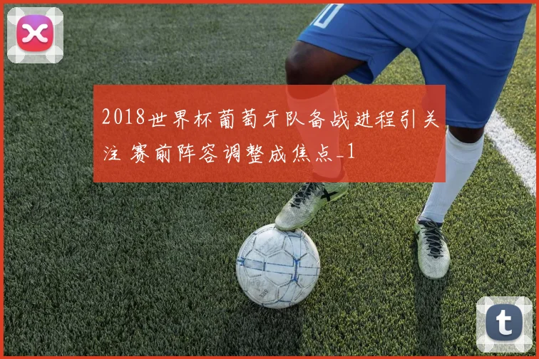 2018世界杯葡萄牙队备战进程引关注 赛前阵容调整成焦点_1