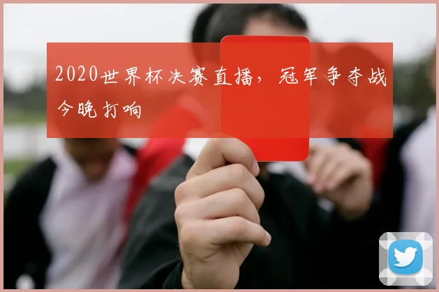 2020世界杯决赛直播，冠军争夺战今晚打响
