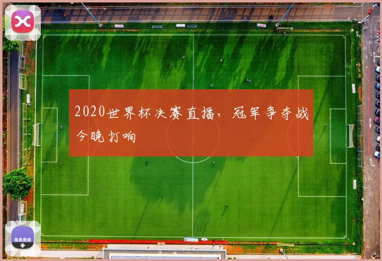 2020世界杯决赛直播,冠军争夺战今晚打响