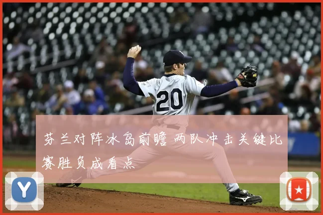 芬兰对阵冰岛前瞻 两队冲击关键比赛胜负成看点