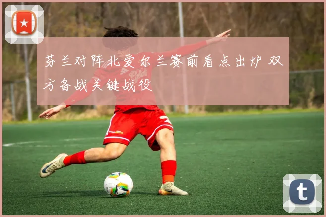 芬兰对阵北爱尔兰赛前看点出炉 双方备战关键战役