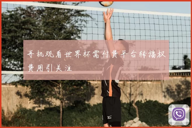 手机观看世界杯需付费平台转播权费用引关注