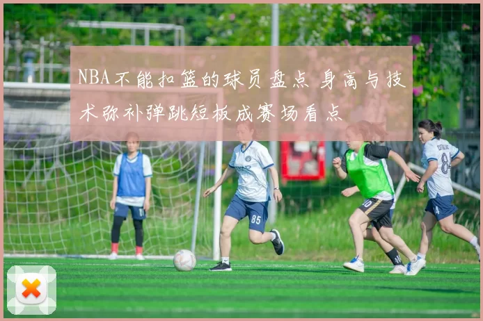 NBA不能扣篮的球员盘点 身高与技术弥补弹跳短板成赛场看点