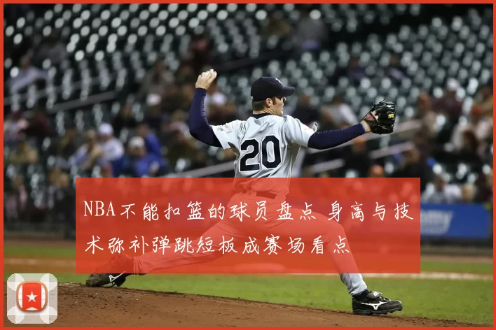 NBA不能扣篮的球员盘点 身高与技术弥补弹跳短板成赛场看点