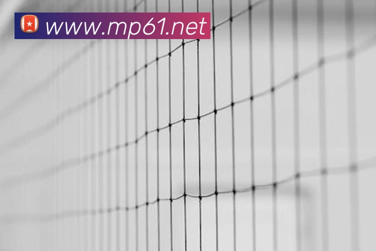 开云app官方在线入口 - 开云(中国)平台生态图