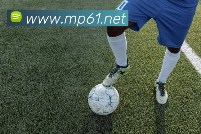 mksports体育APP 封面图