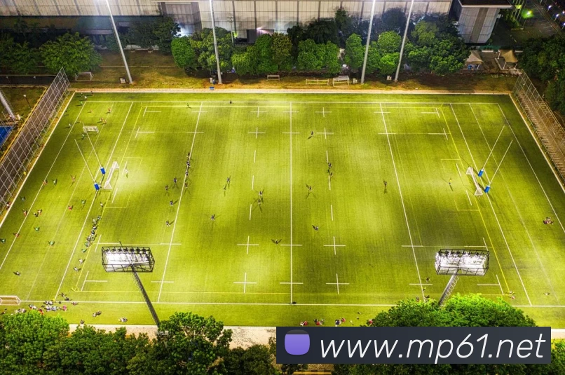 数据防护可视化